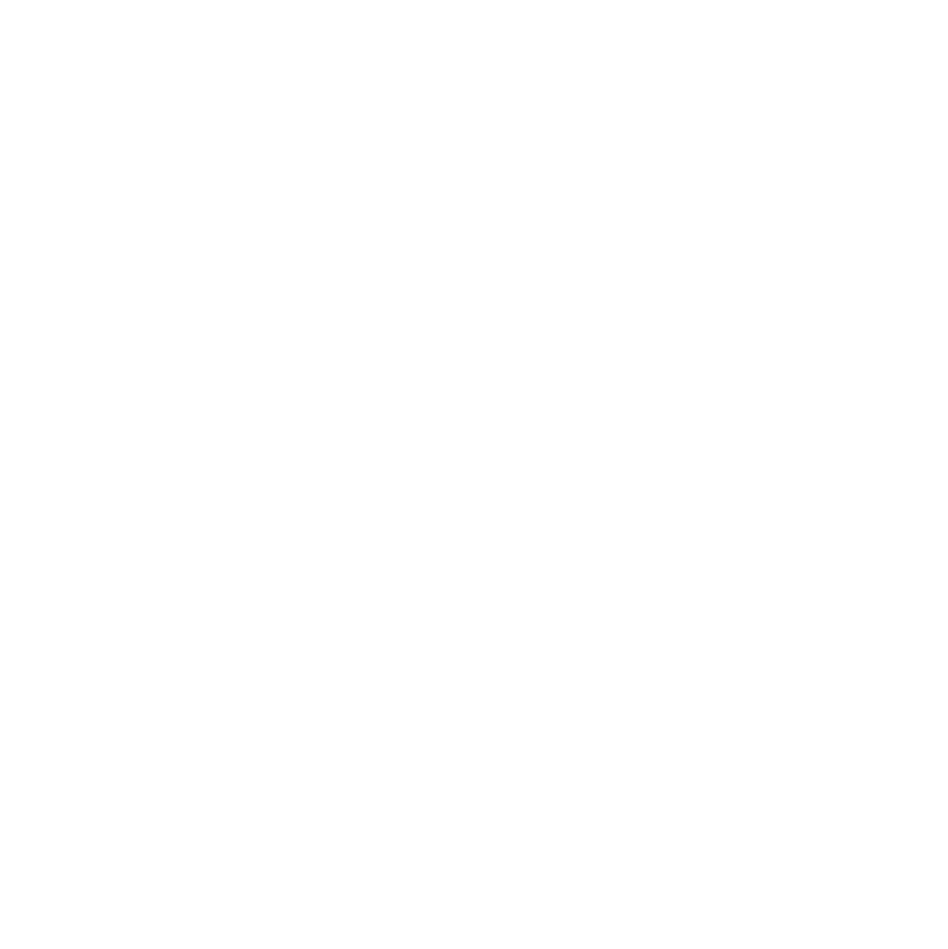 Guiding Investors (Domestic & Foreign)